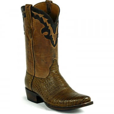 Black Jack Plain Tops With Collar # 6 Caiman Crocodile Belly Cowboy Boot 7152